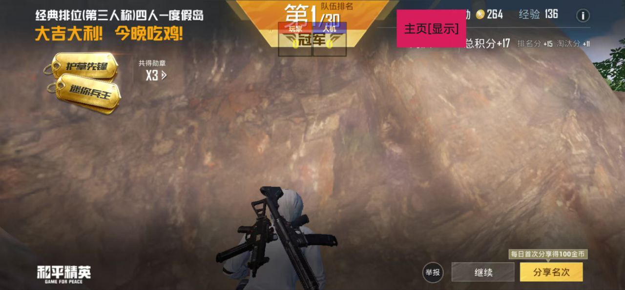 和平精英《北极熊》辅助